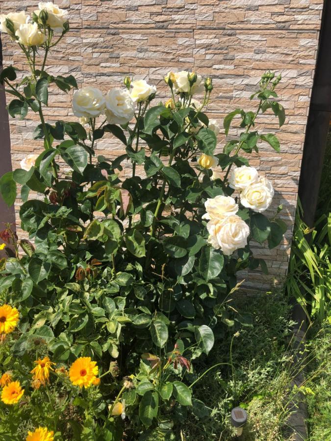 Holiday home Ramar Bodzentyn